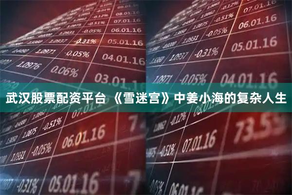 武汉股票配资平台 《雪迷宫》中姜小海的复杂人生